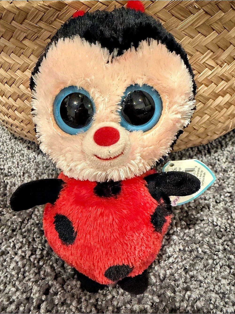 TY Beanie Boos Bugsy Ladybug 6” Plush Solid Blue Eyes With Tag